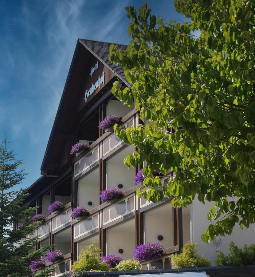 Landhotel Henkenhof Willingen Willingen  Exterior photo