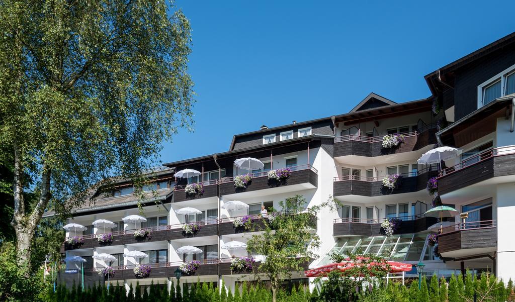 Landhotel Henkenhof Willingen Willingen  Exterior photo